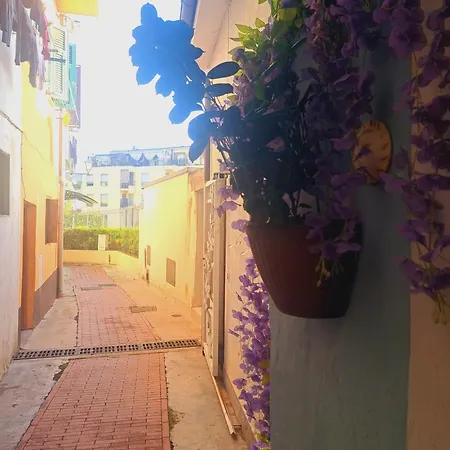 דירה Casa Fiori - Zona , 7 Min Dalle Spiagge *